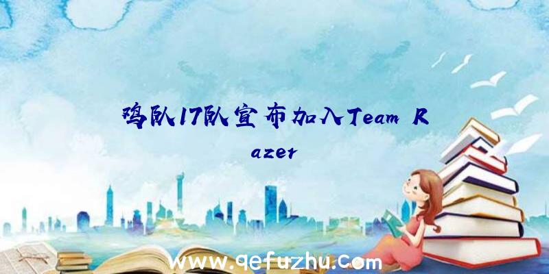 鸡队17队宣布加入Team